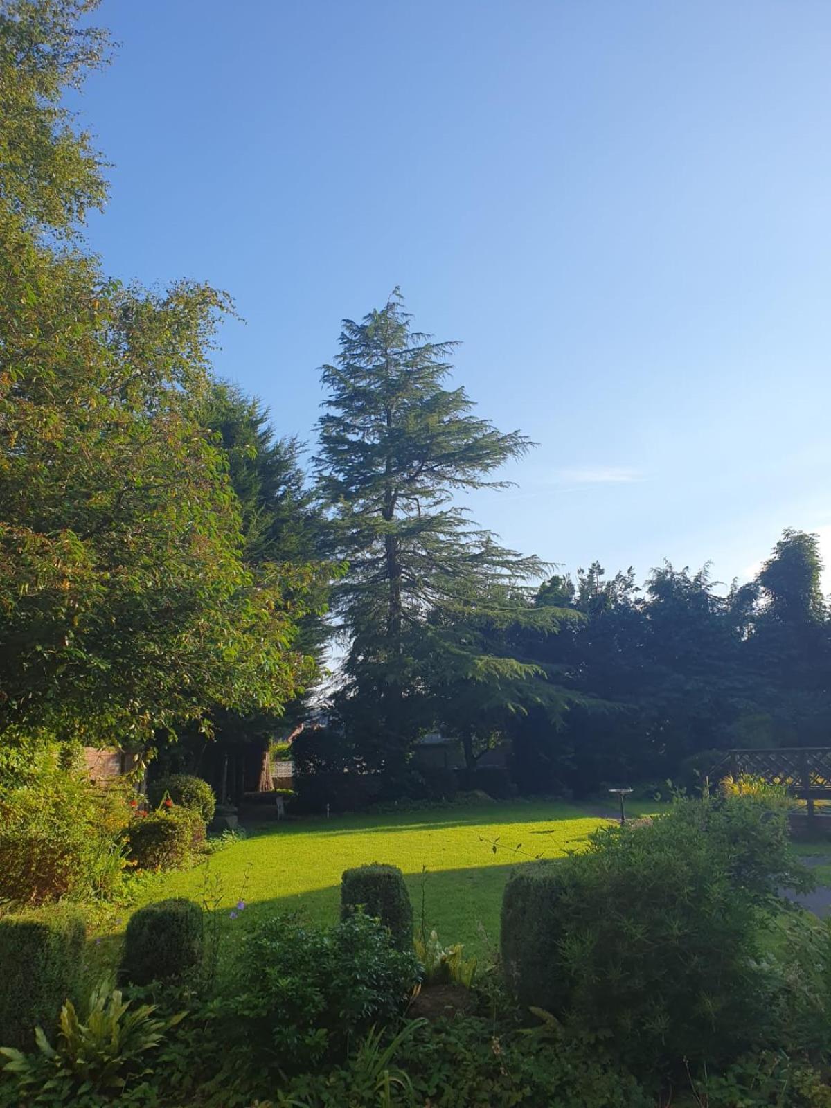 The Manor Guest House Cheadle  Exterior foto